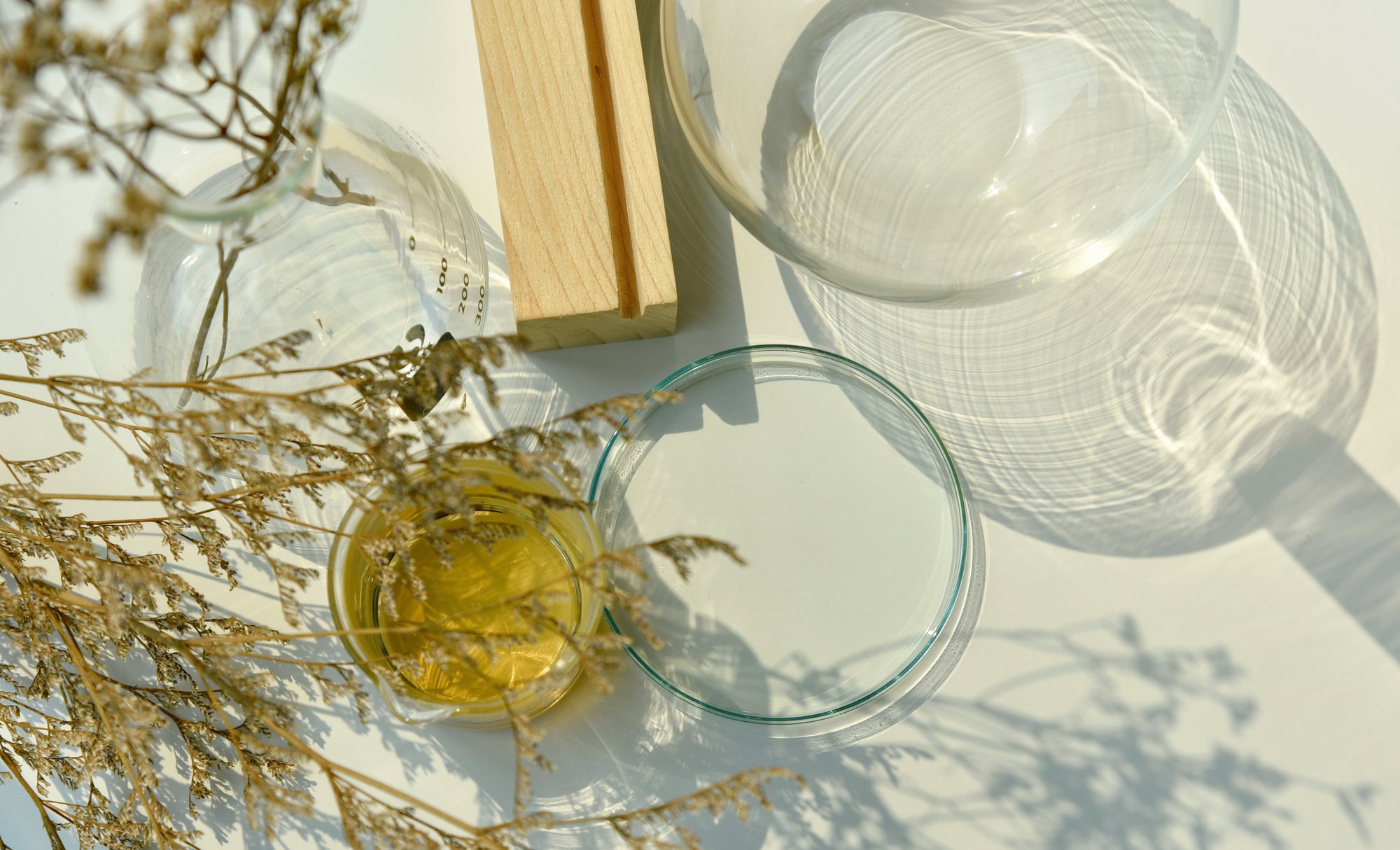 Natural organic botany and scientific glassware, Alternative